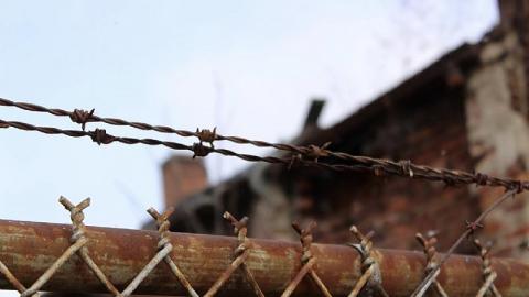 Outside Looking in - 60A51564-4B2B-4725-B241-2AD317356CF2.jpeg