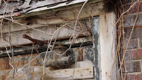 Outside Looking in - 4E8BB9B1-1C67-4762-98F5-4FDEB474B523.jpeg