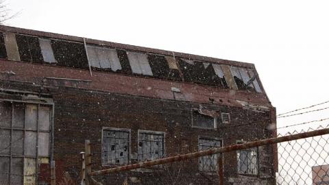 Outside Looking in - F6035E00-8C5A-4844-82E6-438B07F3A2CB.jpeg