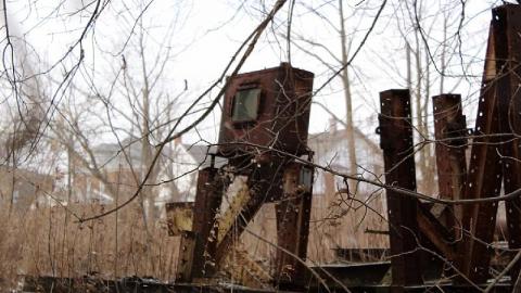 Outside Looking in - 813727D8-A458-47E0-AFF2-AEC9D34B2BB4.jpeg