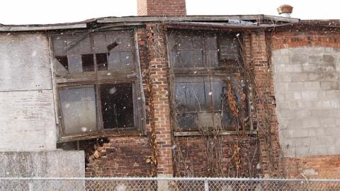 Outside Looking in - CF93A192-CCB2-425B-90DC-BDA50CDD371A.jpeg