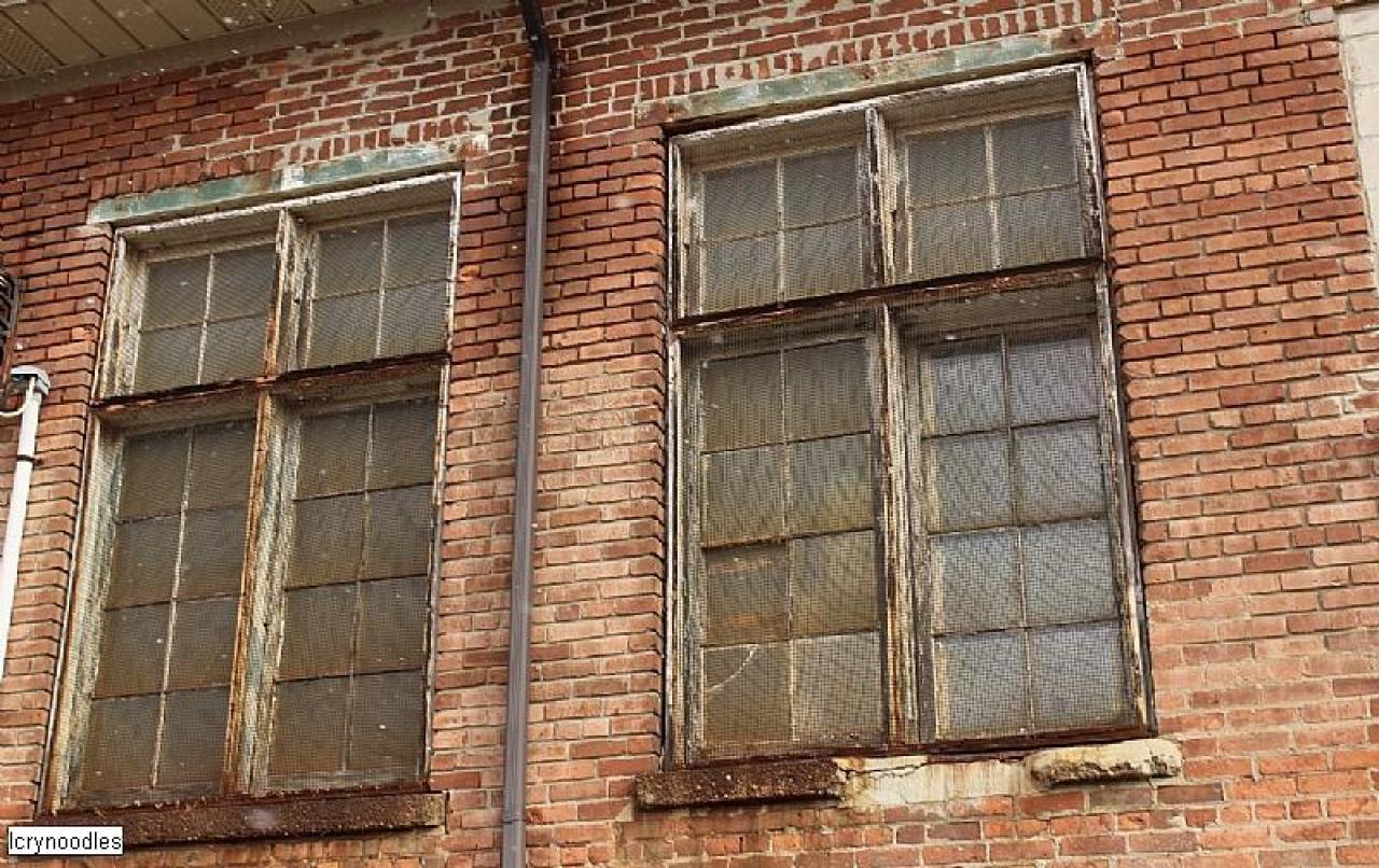 Outside Looking in - 22AD3DD4-E964-41CB-AAE4-FD6456676748.jpeg