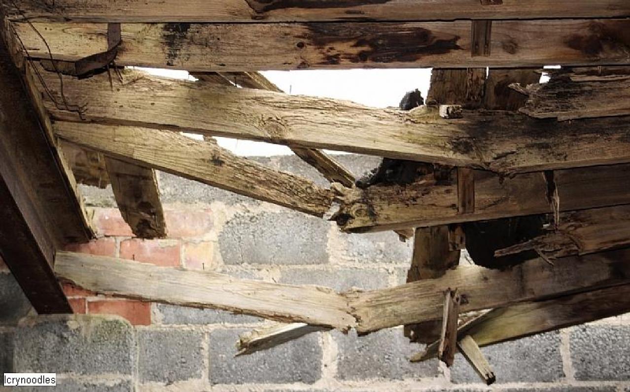 Easy access - 28B85D46-82E3-4484-88CF-306589062937.jpeg