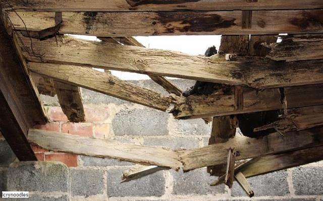 Easy access - 28B85D46-82E3-4484-88CF-306589062937.jpeg