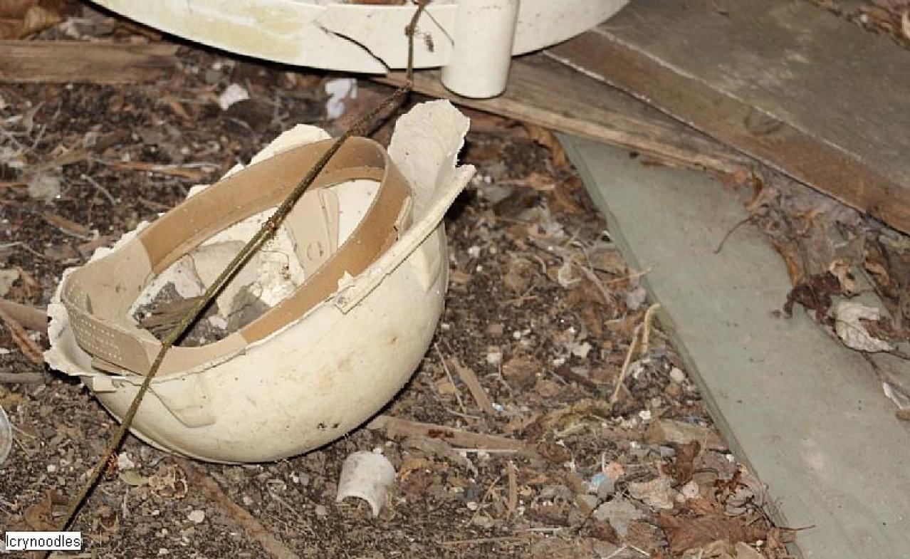 Easy access - CC71AB1A-4F7B-40B0-8FA7-7DCFF88E538E.jpeg