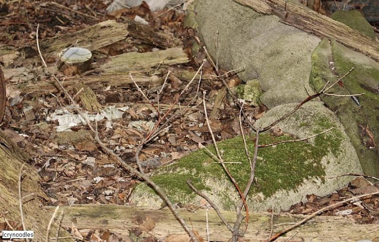 Easy access - 36F601CF-3CF6-4AF7-A7D8-B13202A73CD8.jpeg