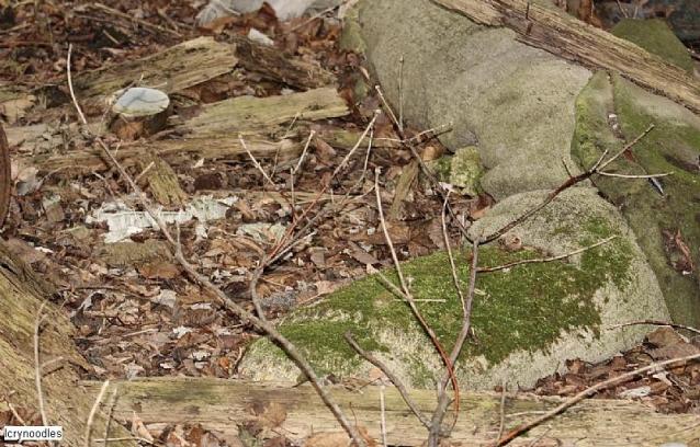 Easy access - 36F601CF-3CF6-4AF7-A7D8-B13202A73CD8.jpeg