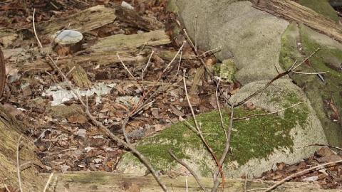 Easy access - 36F601CF-3CF6-4AF7-A7D8-B13202A73CD8.jpeg