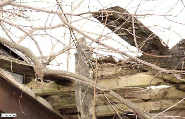 Easy access - 7958C23C-2500-418B-8D7C-41E4C206F9EA.jpeg