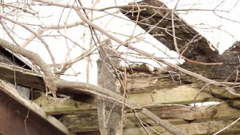 Easy access - 7958C23C-2500-418B-8D7C-41E4C206F9EA.jpeg