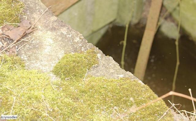 Easy access - 698643F1-A0A8-4C37-9549-B87B334F8F79.jpeg