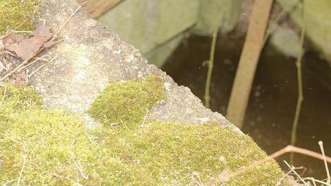 Easy access - 698643F1-A0A8-4C37-9549-B87B334F8F79.jpeg