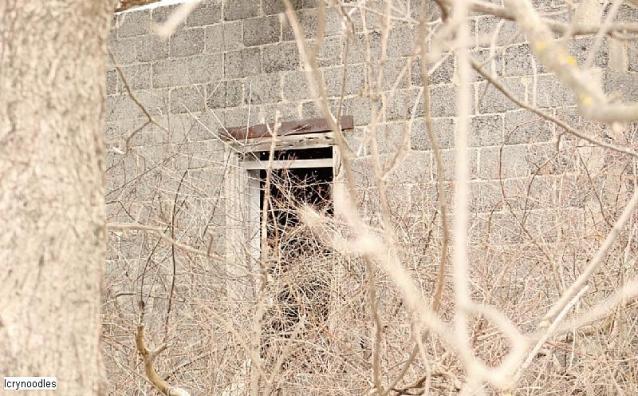 Easy access - 83FA3EE7-DEEA-462C-BFC1-CB8E48BAC117.jpeg