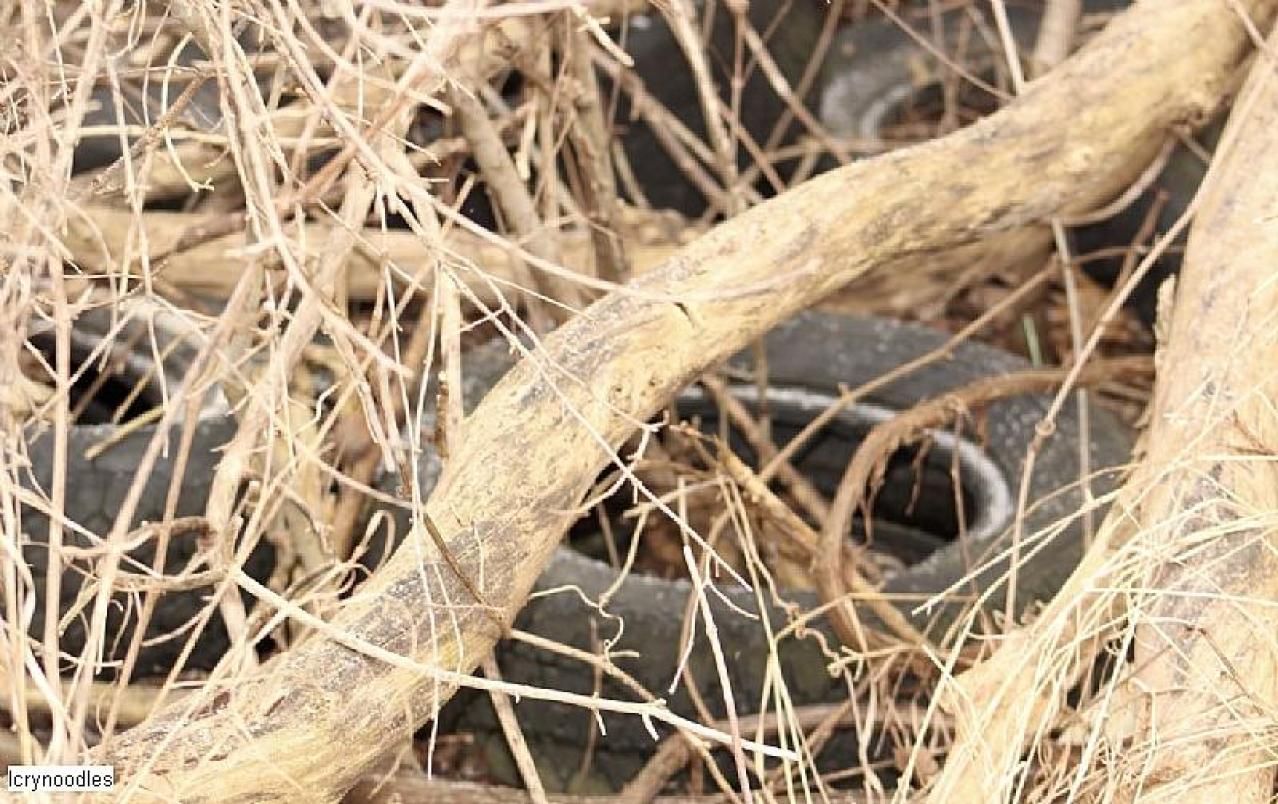 Easy access - 98505856-C6D0-4925-BFED-92AAFEFBC824.jpeg