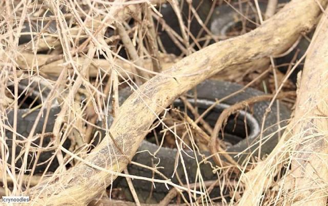 Easy access - 98505856-C6D0-4925-BFED-92AAFEFBC824.jpeg