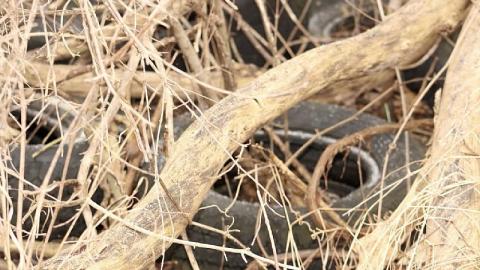 Easy access - 98505856-C6D0-4925-BFED-92AAFEFBC824.jpeg