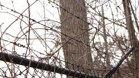 MorningStar Mill - The-Morningstar-Mine45.jpeg