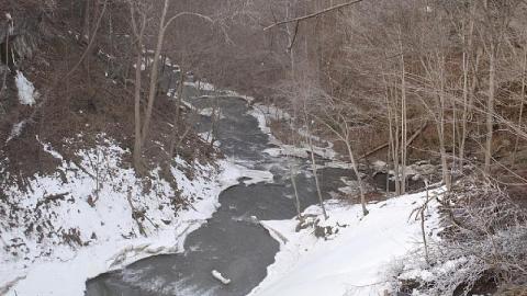 MorningStar Mill - The-Morningstar-Mine47.jpeg