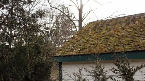 MorningStar Mill - The-Morningstar-Mine40.jpeg