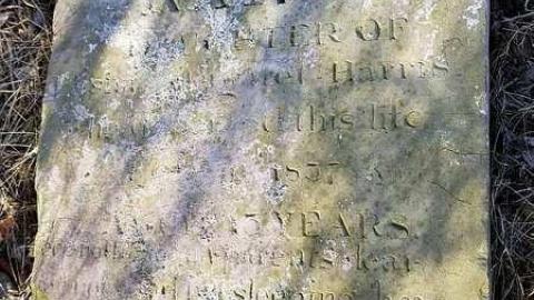 Howitt Pioneers - Howitt-Pioneer-Cemetery11.jpg