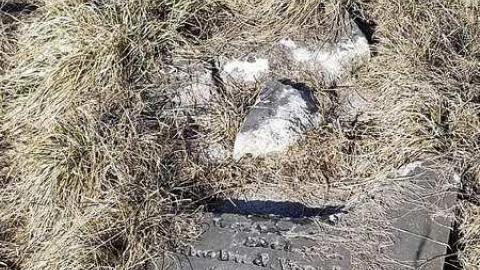 Howitt Pioneers - Howitt-Pioneer-Cemetery24.jpg