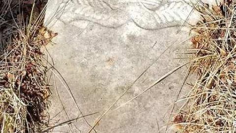 Howitt Pioneers - Howitt-Pioneer-Cemetery26.jpg