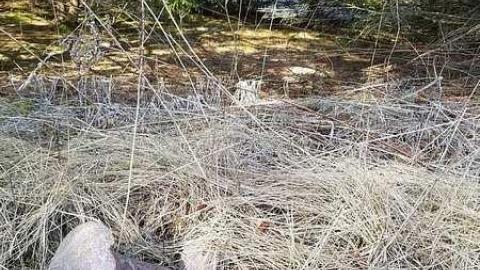 Howitt Pioneers - Howitt-Pioneer-Cemetery31.jpg