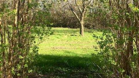 Railway house - IMG_2432.jpg