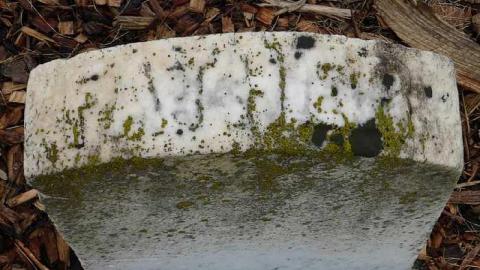 Part Source Burying Ground - Batson-Pioneer-Cemetery9.jpg