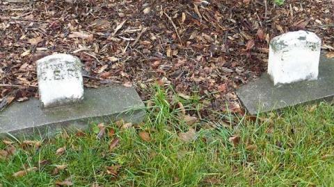 Part Source Burying Ground - Batson-Pioneer-Cemetery15.jpg