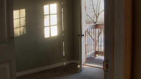 Pristine Paradise - 2.jpg