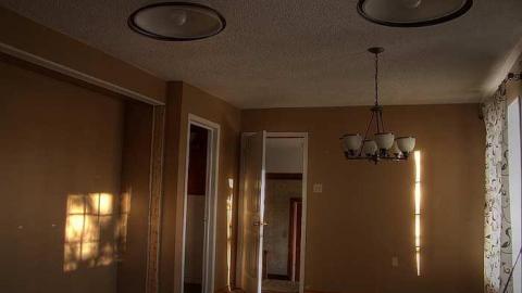 Pristine Paradise - 3.jpg