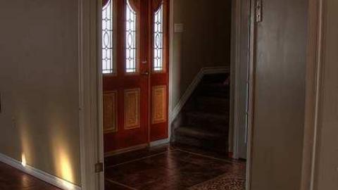 Pristine Paradise - 4.jpg