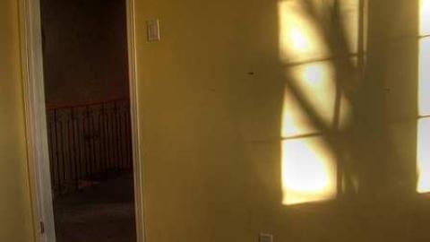 Pristine Paradise - 6.jpg