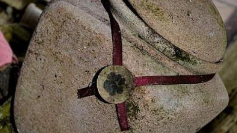 Enchanted Cabin - Clarington-Jackpot10.jpg