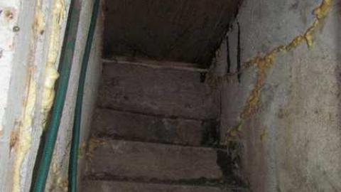 Blue house - The-Blues-House-Baby12.jpg