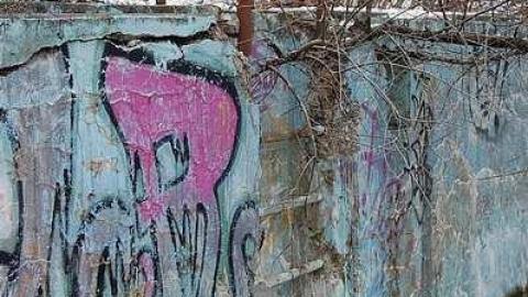 Snowy Pool - Abandoned-Pool39.jpg