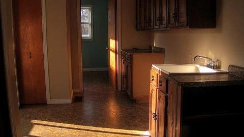 Thriving Rodent Community - Halton Hills, Ontario