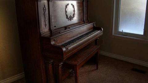 Thriving Rodent Community photo 2