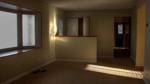 Thriving Rodent Community photo 5