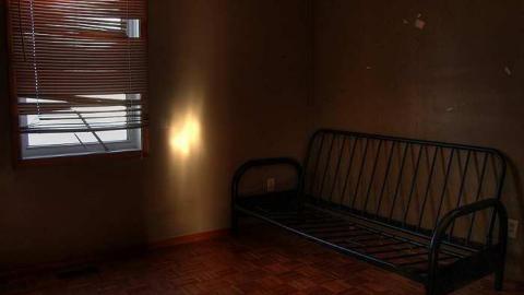 Thriving Rodent Community photo 3