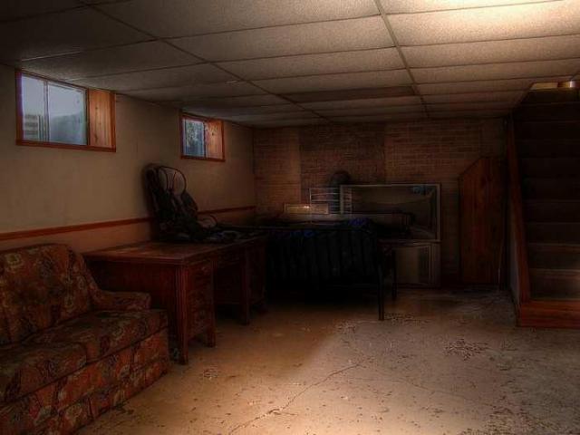 Thriving Rodent Community photo 4