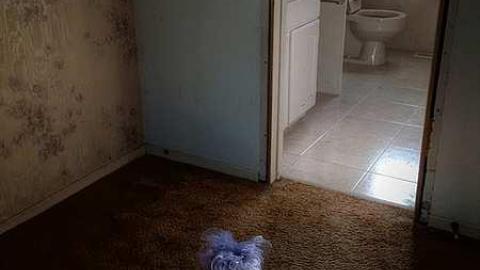 Quarry Querry photo 5