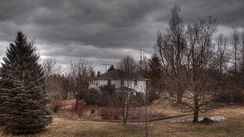 A Seed and a Pod - 1.jpg