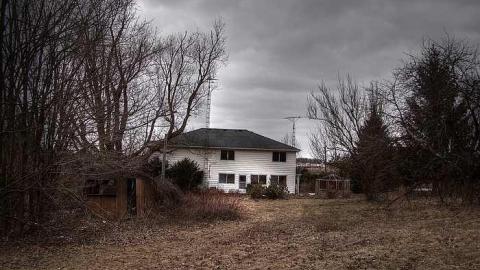 A Seed and a Pod - 1a.jpg