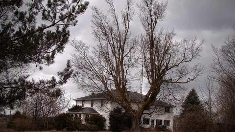 A Seed and a Pod - 1b.jpg