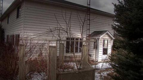 A Seed and a Pod - 2a.jpg