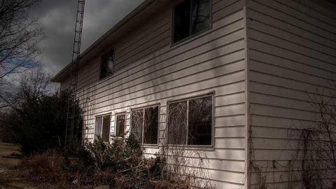 A Seed and a Pod - 2b.jpg