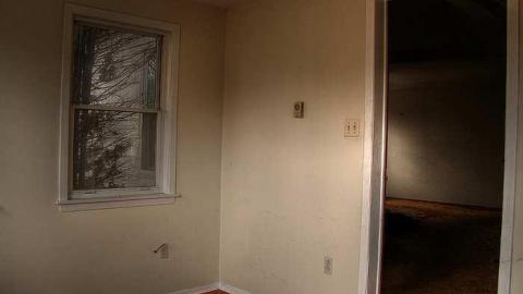 A Seed and a Pod - 3.jpg