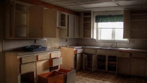 A Seed and a Pod - 4.jpg